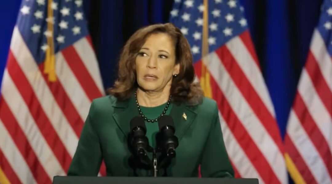 Kamala Harris just visited Florida and made one jaw-dropping accusation against Ron DeSantis