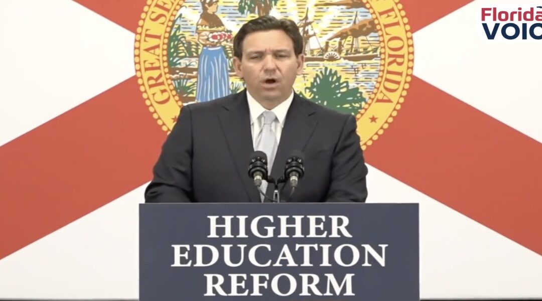 All hell is breaking loose after Ron DeSantis threw down the gauntlet on woke ideology in higher education