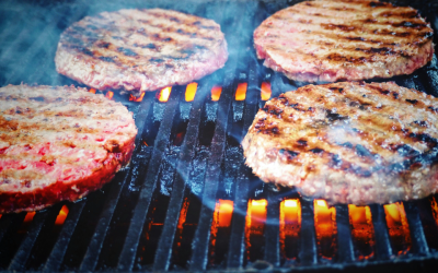 Ron DeSantis stopped this awful scheme to ruin grilling season dead in its tracks