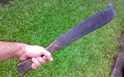 A man asked his noisy neighbor to be quiet but never expected to be greeted with a machete