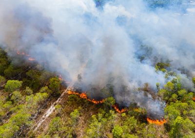 Forest,Fires,Are,Burning,Heavily,In,Forests.