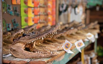 A Florida man learned one hard lesson about posting felonies on social media that will haunt him for years