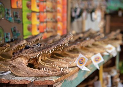 Souvenirs,In,A,Louisiana,Swamp,Store