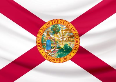 Donald Trump just gave Ron DeSantis the biggest gift he could have asked for Florida,State,Flag,,Silk,Effect,Flag,,Background,,Texture