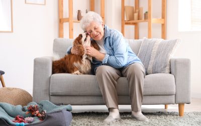 Eeyore the dog used one instinct that saved his grandmother’s life and left a Florida deputy amazed