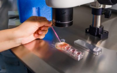 Ron DeSantis delivered one huge win for Florida families that left Democrats seething