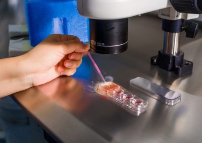 Ron DeSantis delivered one huge win for Florida families that left Democrats seething Doctor,In,The,Lab.,Insemination,Process,Of,The,Egg,By