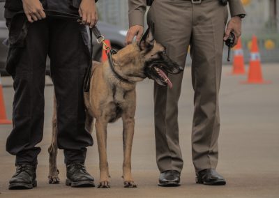 Florida’s AG just smashed a massive drug ring with one detail that will make your jaw drop Dog,Military,Working,,Police,Officer,With,Service,Dog.