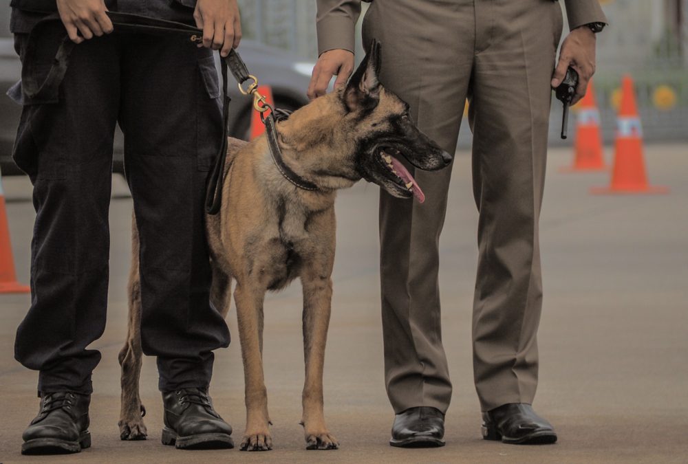 One Florida man’s dog cage hid something that left Indiana police absolutely stunned