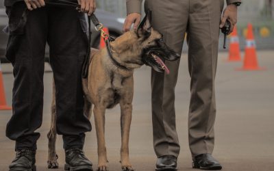 One Florida man’s dog cage hid something that left Indiana police absolutely stunned