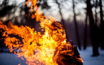 Two Florida teens just got hit with charges that should terrify every parent