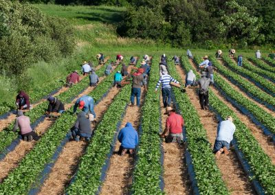 Île,D’orléans,,Quebec,,Canada,-may,18,,2021:,Migrant,Mexican,Agricultural,Workers