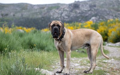 Ron DeSantis just dropped the hammer on criminals who use children for this sick purpose