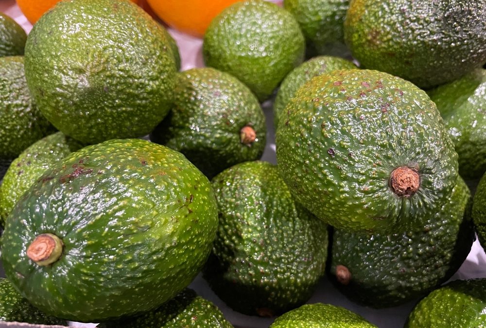 One Florida man loaded up his Mercedes for Christmas and gave cops the ultimate guacamole story