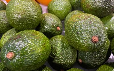 One Florida man loaded up his Mercedes for Christmas and gave cops the ultimate guacamole story