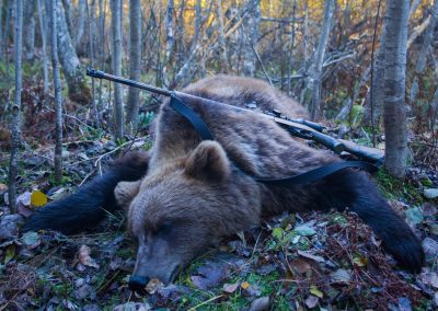 A Florida judge just crushed animal rights activists who tried shutting down the bear hunt Hunting,Trophy,Of,Brown,Bear,With,Rifle,After,Legal,Autumn