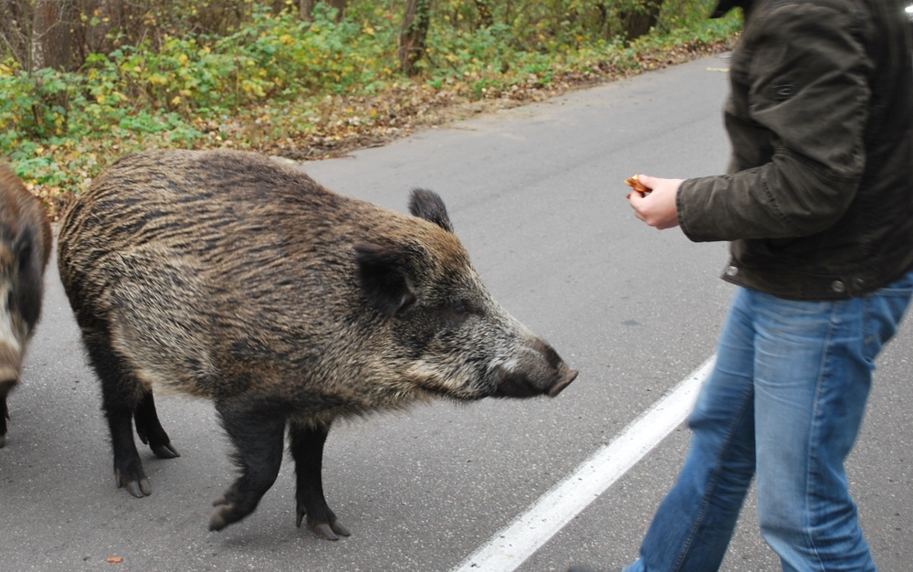This Florida man got arrested for one disgusting stunt two miles from Mar-a-Lago