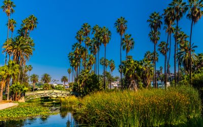 Ron DeSantis just shut down the Left’s biggest lie about Republicans with one historic $30 million announcement