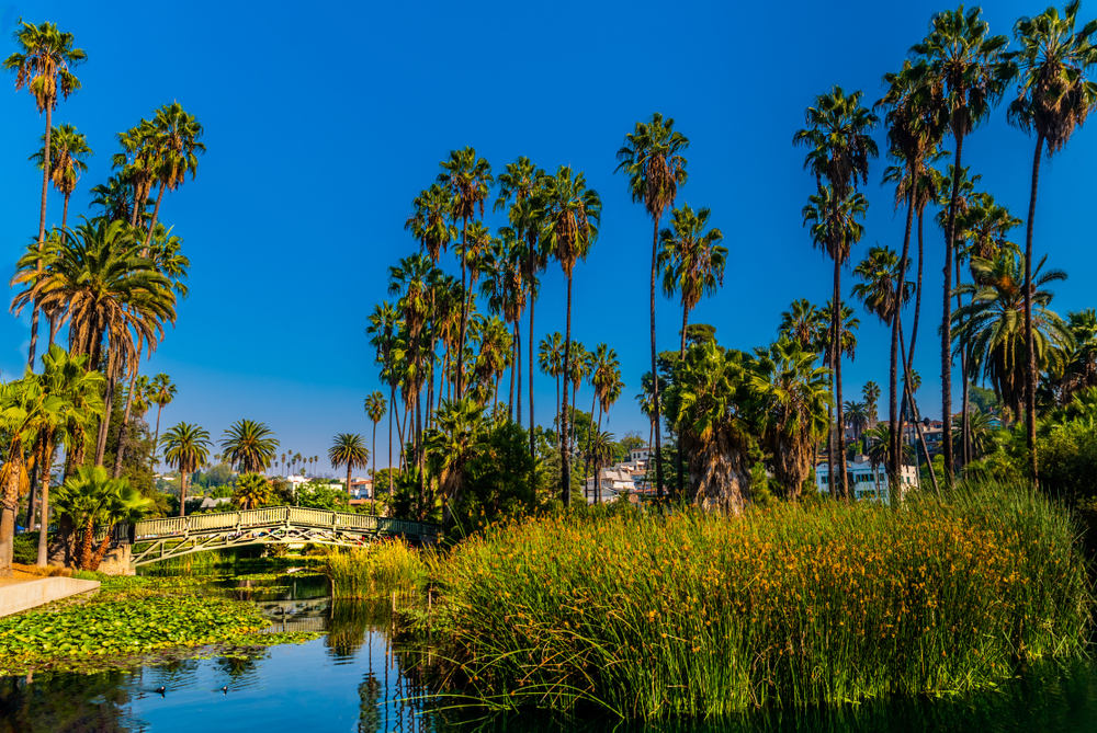 Ron DeSantis just shut down the Left’s biggest lie about Republicans with one historic $30 million announcement