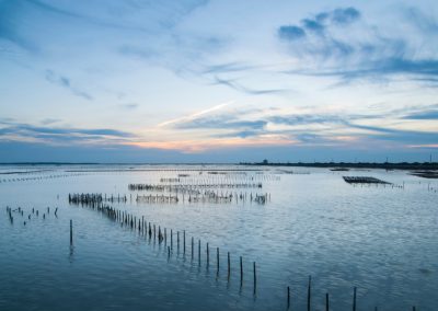 Serene,And,Beautiful,Sunsets,Oyster,Fields