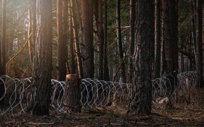 Ron DeSantis had two words for Amnesty International’s Alligator Alcatraz lies