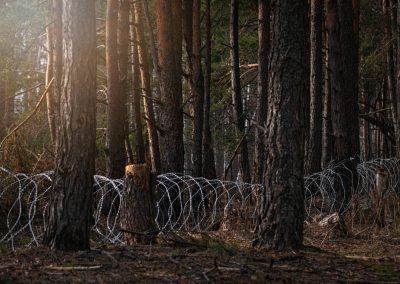 Ron DeSantis had two words for Amnesty International's Alligator Alcatraz lies Border,Wire,Fence,Trough,Pine,Forest.,Protecting,The,State’s,Border