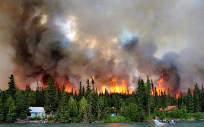 Florida’s $100M wildfire investment just exposed California’s billion-dollar failure