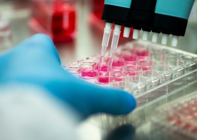 Ron DeSantis just delivered one announcement that has cancer researchers around the world taking notice Geneticist,Working,With,Microplate,For,Cells,Analysis,In,The,Genetic