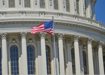 Ron DeSantis got blindsided when two Florida voters filed this lawsuit that could wreck his April plans Washington,Dc,-,Us,Capitol,Building,Dome,Detail,Wit,Flapping