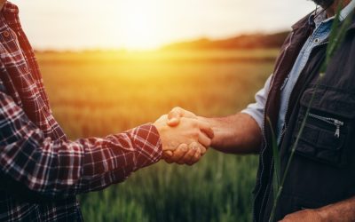 Ron DeSantis just stepped in after Florida farmers lost more than a billion dollars in a brutal winter crisis