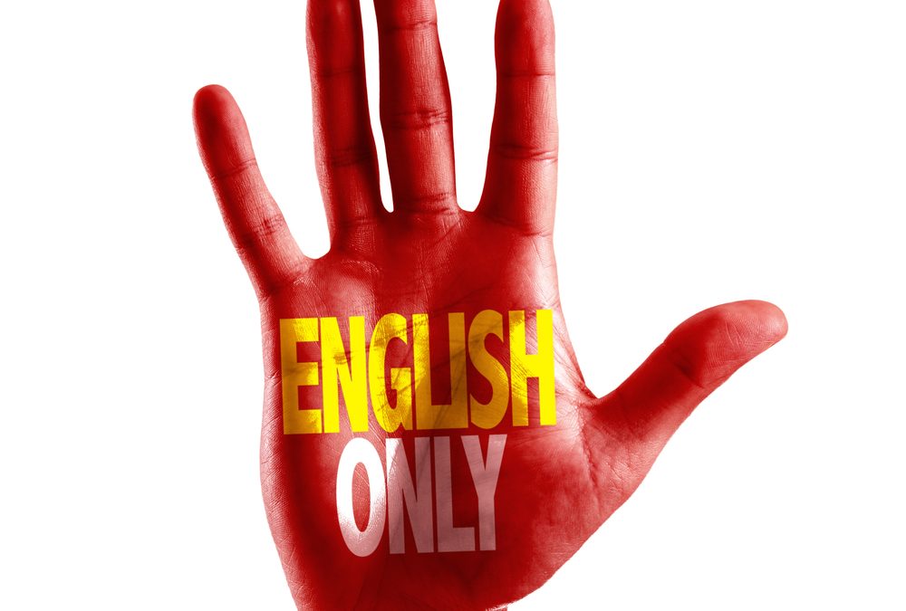 Florida sent Democrats into meltdown mode with one driver’s license decision