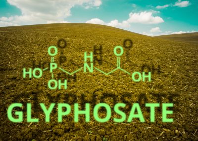 Ron DeSantis dropped one bombshell about your favorite bread that will leave you fuming Concept,Glyphosate,Molecule,And,His,Shadow,In,Front,Of,A