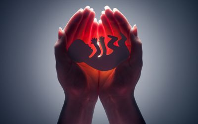 James Uthmeier just threw Alex Andrade under the bus with one demand that has Florida Republicans fuming