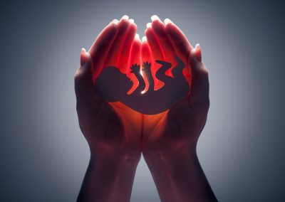 Embryo,Silhouette,In,Woman,Hand
