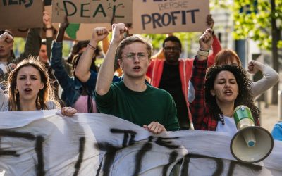 Green Groups Are Letting Florida Dry Up to Keep Their Donations Flowing