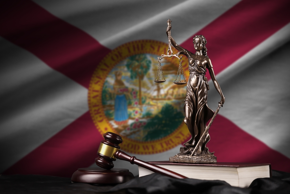 The Florida Supreme Court Just Handed Marc Elias His Latest Embarrassing Loss