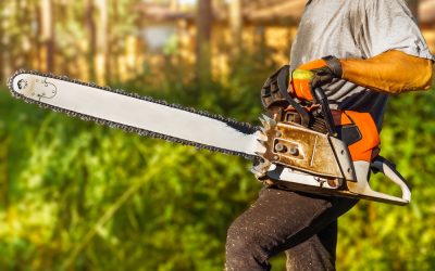 Ron DeSantis Just Told Every Florida City That Tried to Ban Gas Chainsaws Exactly Where to Go