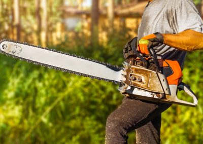 Ron DeSantis Just Told Every Florida City That Tried to Ban Gas Chainsaws Exactly Where to Go A,Lumberjack,With,A,Chainsaw,Works