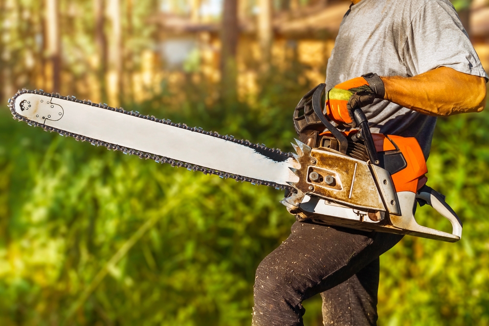 Ron DeSantis Just Told Every Florida City That Tried to Ban Gas Chainsaws Exactly Where to Go
