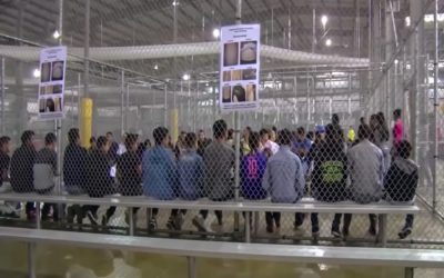 Florida Troopers Just Pulled 15 Criminal Aliens Off the Streets and Every One of Them Had Already Broken the Law Before