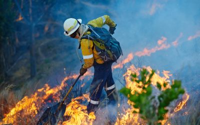 Florida Has Already Burned 100,000 Acres and the Worst Is Still Coming