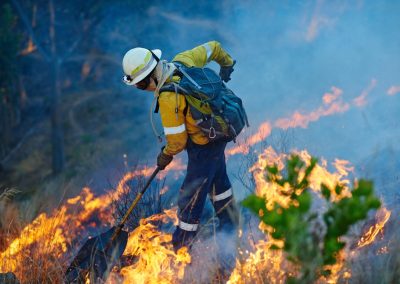 Smoke,,Flame,And,Firefighter,In,Forest,For,Emergency,,Disaster,Management