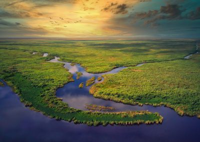 Joe Biden Spent Four Years Killing the Everglades and Trump and DeSantis Fixed It in Nine Months Aerial,View,Of,Florida,Everglades,Golden,Hour,Sunset