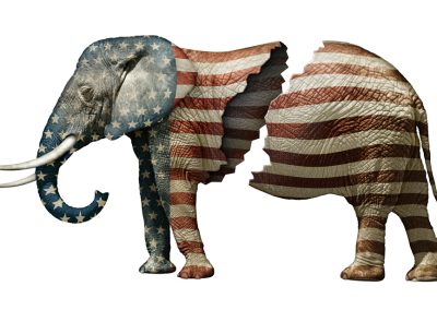 Photo,Illustration,Of,A,Flag,Adorned,Elephant,,Split,In,Two