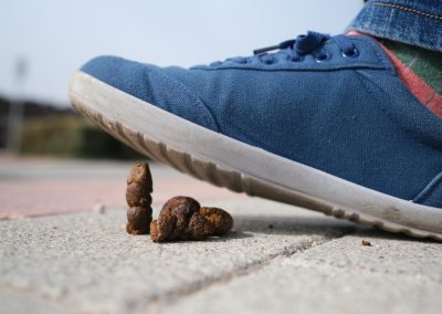 A,Man,With,Blue,Snickers,Steps,In,Dog,Poop.,It