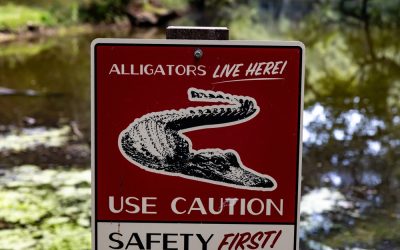 Ron DeSantis Just Announced What Happens to Alligator Alcatraz and Democrats Will Hate Every Word