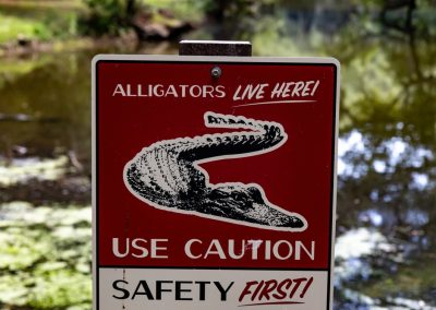 Warning,Sign,Alligators,Live,In,Lake,,Use,Caution,Safety,First