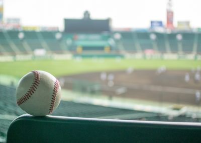 Baseball,Stadium,Stands