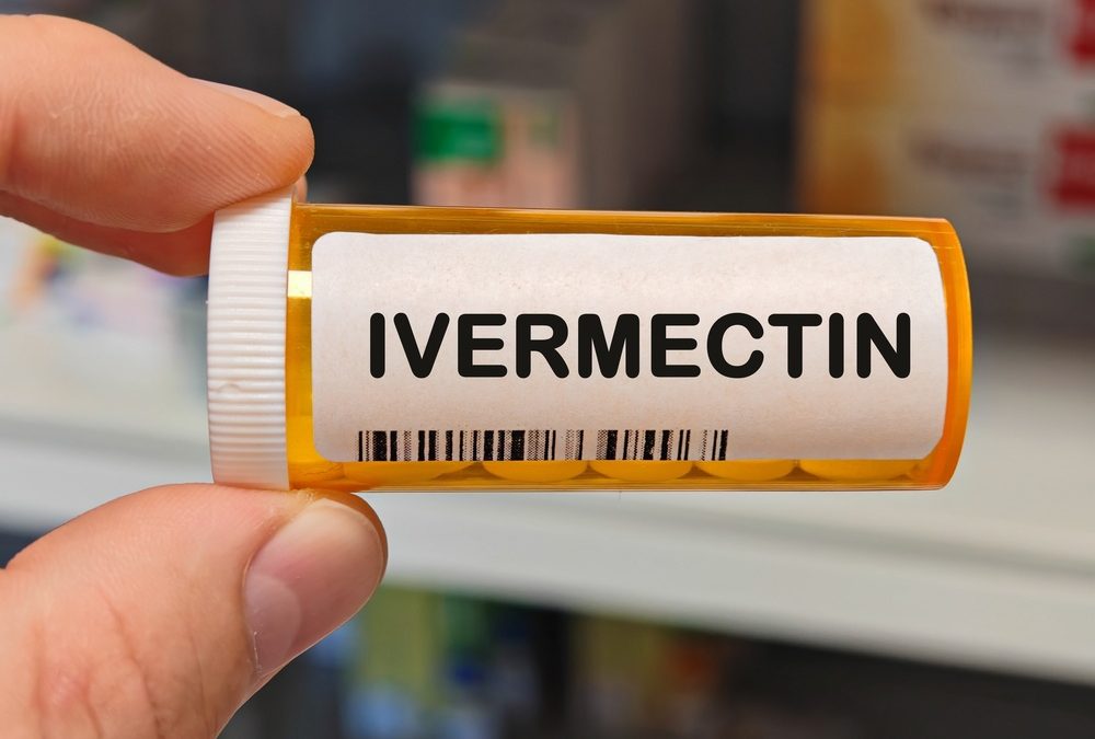 South Carolina Just Passed the Ivermectin Bill Florida Republicans Killed