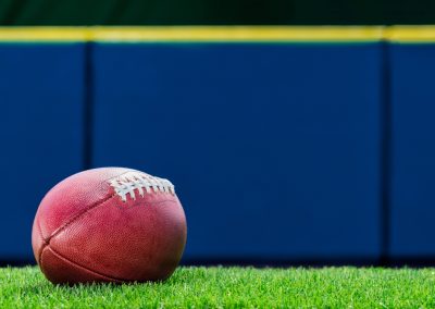 Florida Subpoenaed the NFL and Roger Goodell Said Something That Proves He Knows He Lost A,Low,Angle,View,Of,A,Pro,American,Football,Sitting